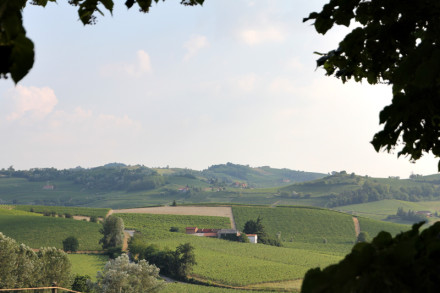 Piemonte-maisemaa.